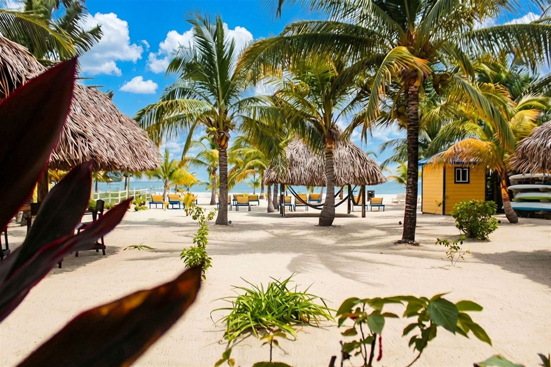 Casa Palma beachfront setting