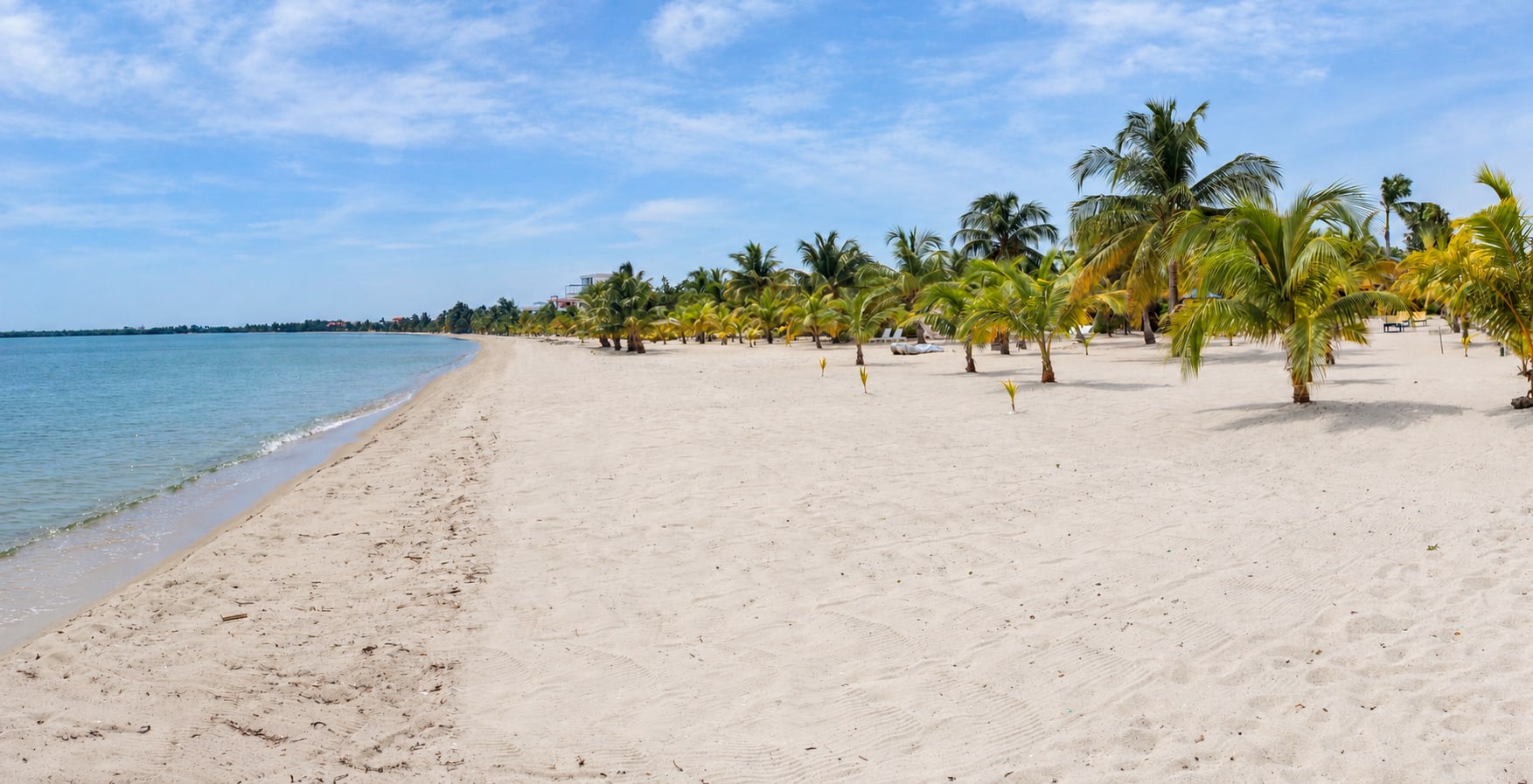 Palm-lined beach beside the Caribbean at Casa Palma